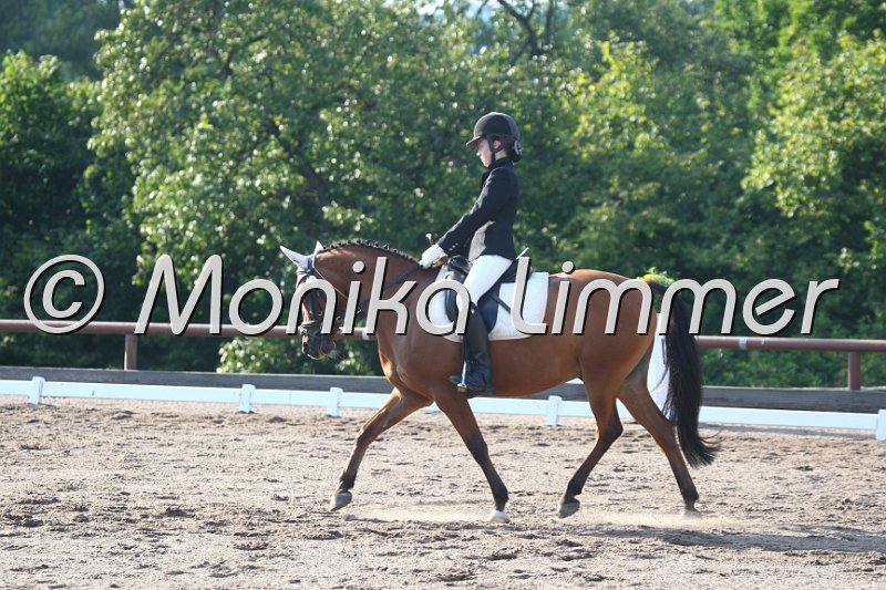 009M0691_Good lucky boy_Dressur A.JPG